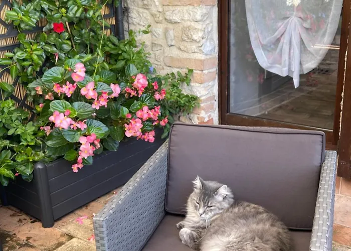 Appartamento Atelier Fuori Perugia