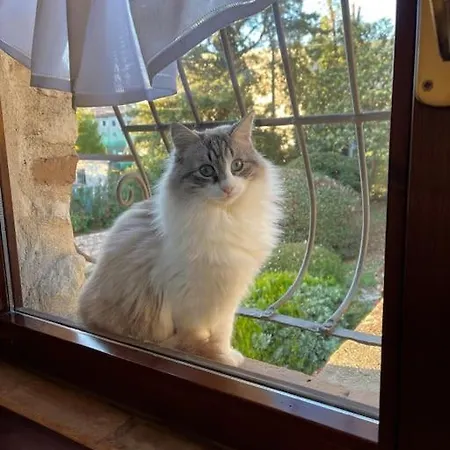 Atelier Fuori Citta *