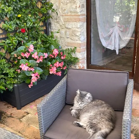 Apartment Atelier Fuori Citta Perugia